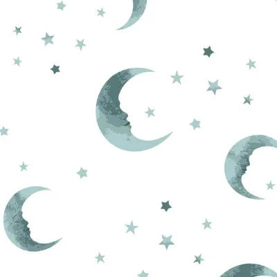 Jersey de coton  imprimé lunes et étoiles menthe poussière foncé